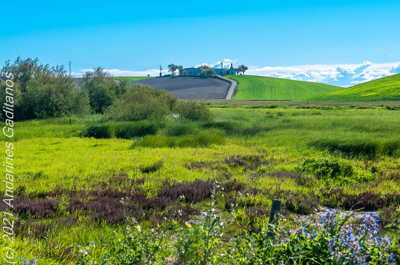 Turismo ElPuerto de Santa María Espacio Natural Reserva Natural Complejo Endorreico Turismo ElPuerto de Santa María Espacio Natural Reserva Natural Complejo Endorreico