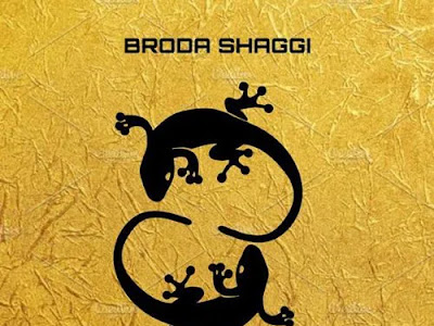 Broda Shaggi - Black Skin Boy