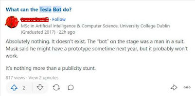 What does tesla bot do