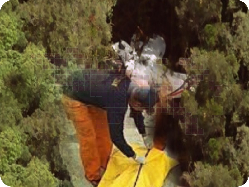 Pilot Cessna SAS, Rio Pasaribu Ditemukan Tidak Bernyawa PapuaUS