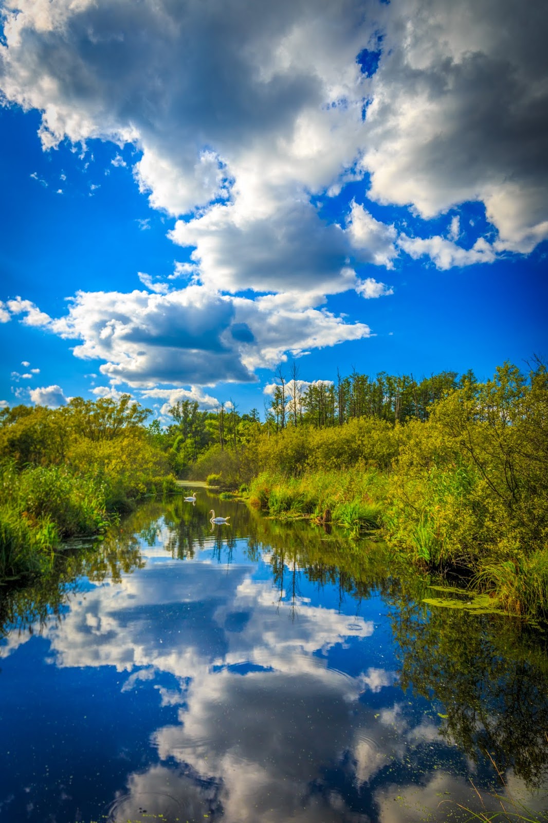 Eintagsliebe Liebeslyrik, Liebesgedichte, Liebespoesie SCHENKST DU DICH DER LIEBE GANZ