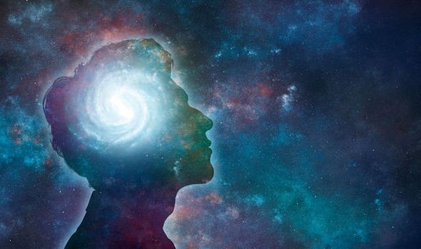 La dura scienza della reincarnazione La dura scienza della reincarnazione