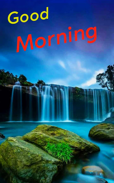Good Morning Images Free Download For Whatsapp, good morning images for whatsapp free download, good morning images for whatsapp, good morning images, good morning images download,