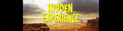 Hidden Experience