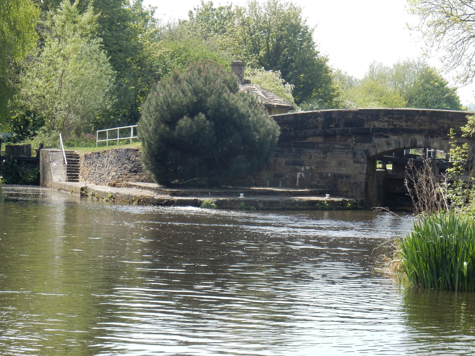 NB Holderness May 2017, by bridge and lock. Part 2.
