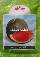 SEMANGKA AMARA, BENIH SEMANGKA AMARA, AMARA CAP PANAH MERAH, LMGA AGRO