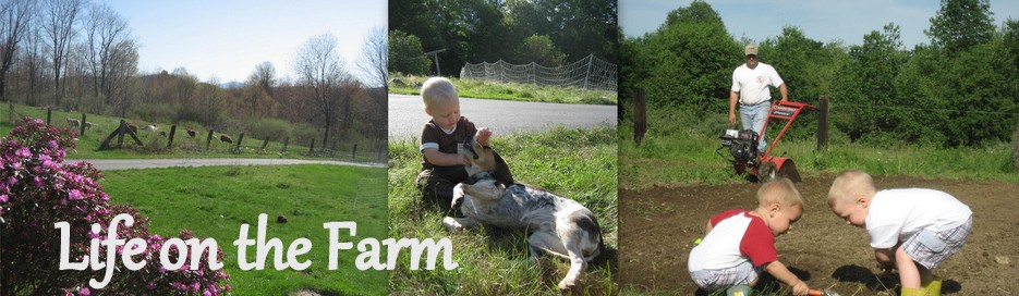Life on the farm...