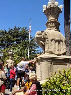 Vina del Mar Park in Sausalito, California