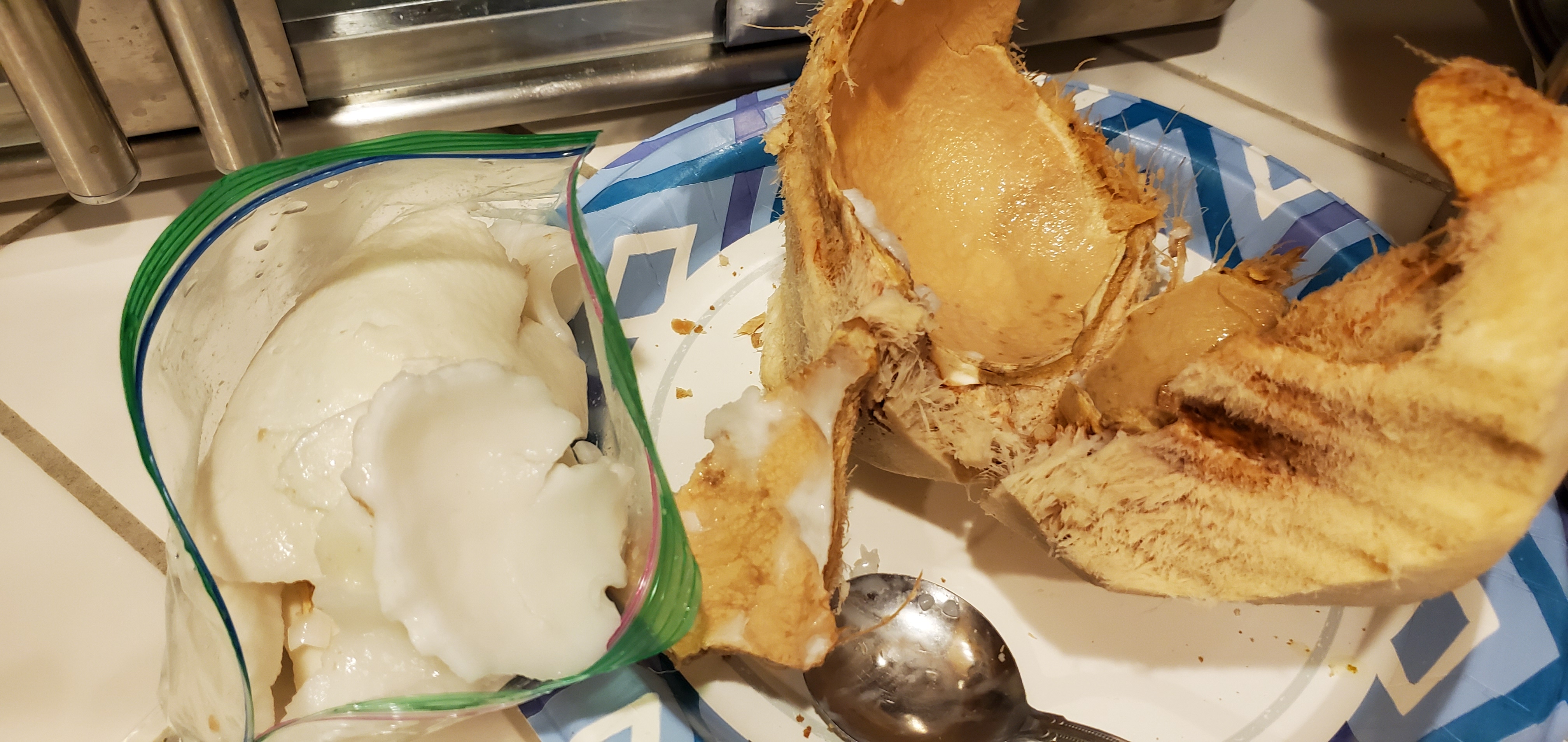 Let's Rock Like da Vinci Cook Away! Homemade Fresh Shredded Coconut