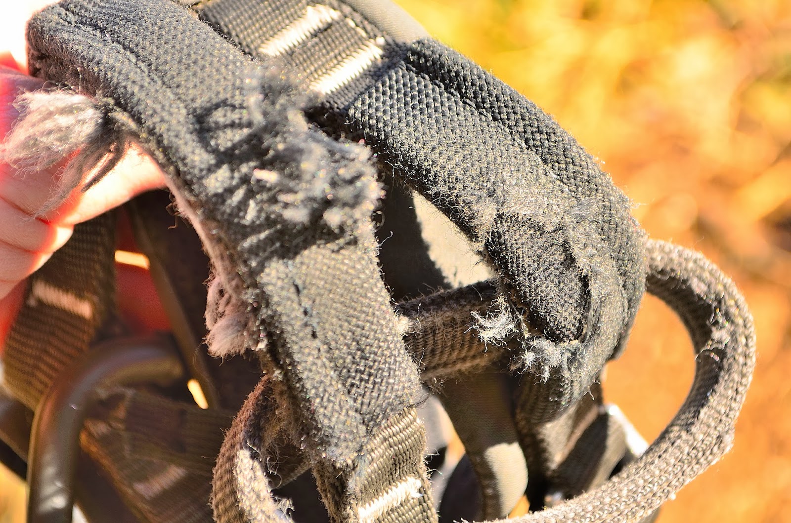 The Colorado Climbing Company 3 Overblown Climber Worries & the Dangers They're Distracting From