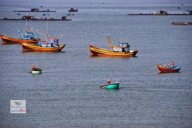 Cảng cá Mũi Né một ngày nắng đẹp