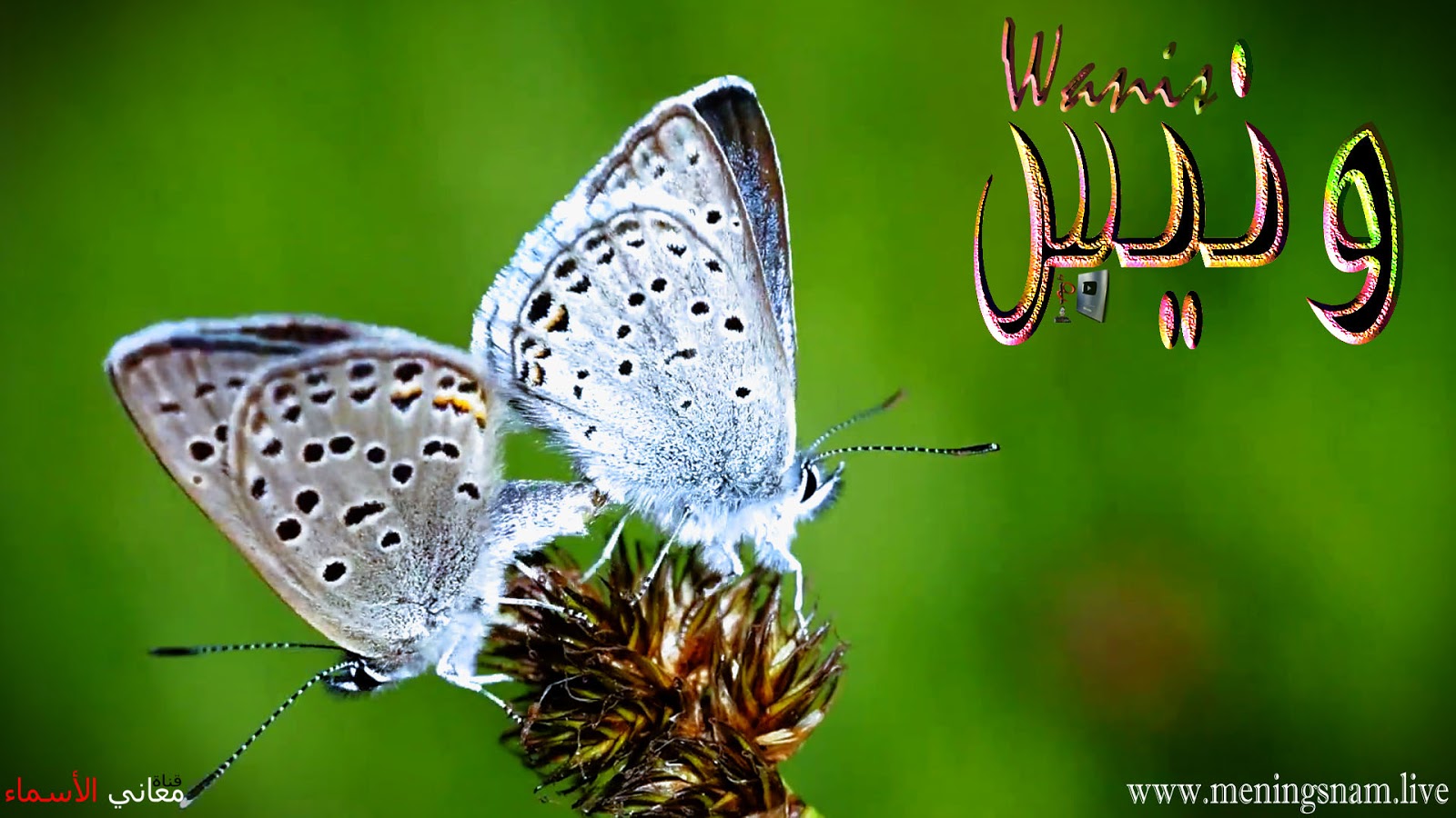 معنى اسم يزن Yazan وصفات شخصيتة موقع محتوى