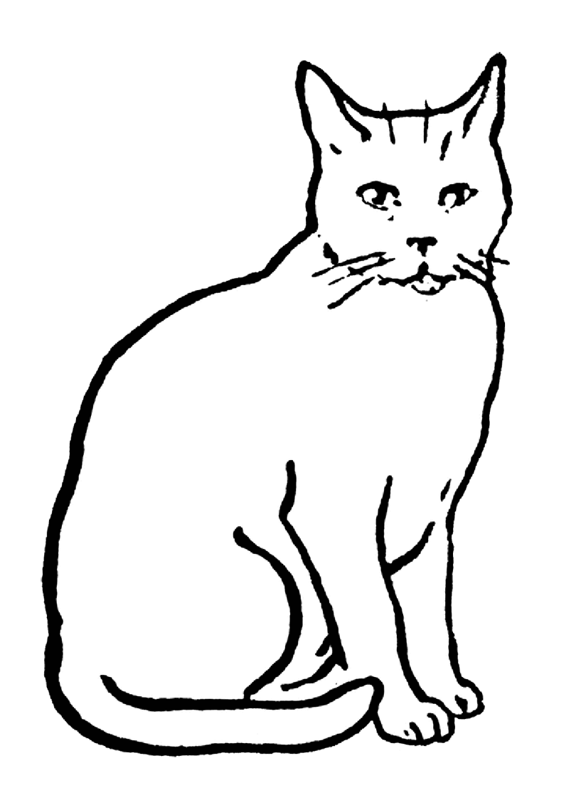 Free Printable Cat Images