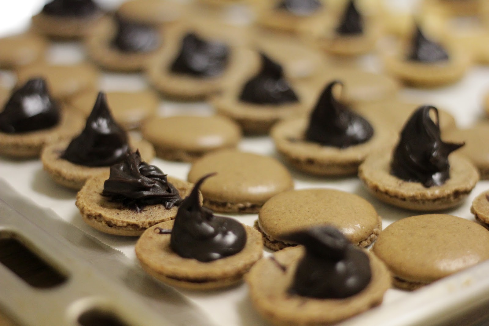 BAKING TRAY \________/ The wonderful world of MACARONS!!