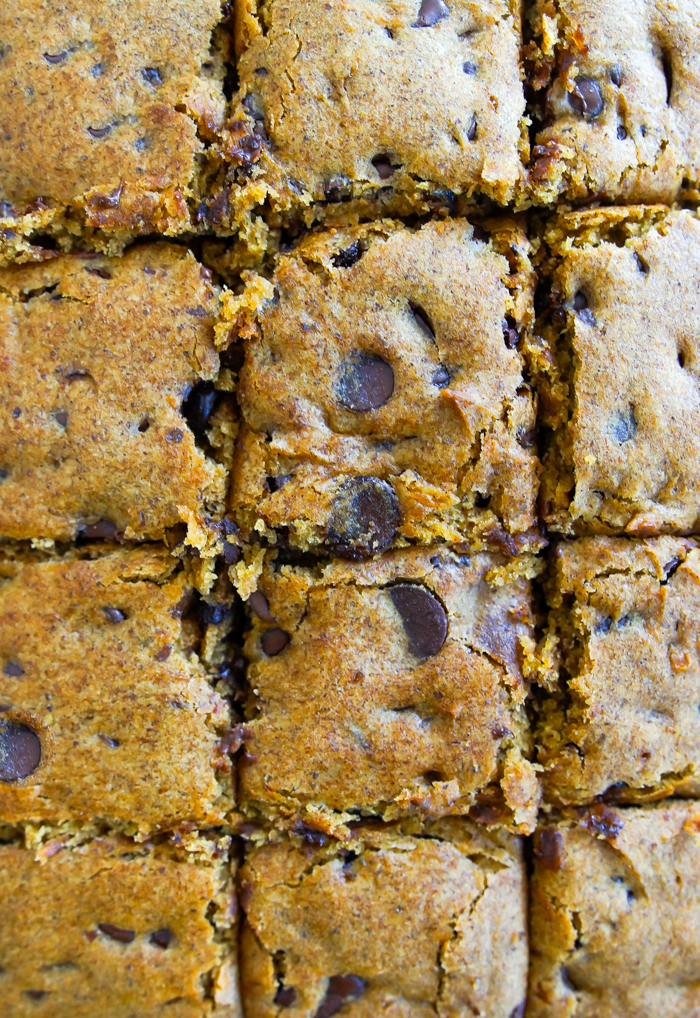 Gluten-Free Pumpkin Chocolate Chip Bars