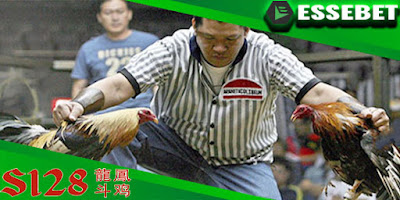 SITUS RESMI SABUNG AYAM ONLINE S128 TERNAMA 2020 - essebetting88.net Sabung Ayam Online