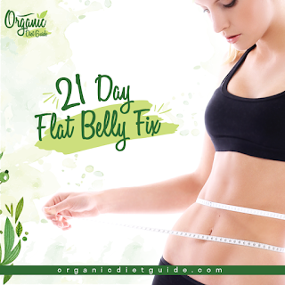 The Flat Belly Fix Review | Your Complete Guide The Flat Belly Fix Review | Your Complete Guide