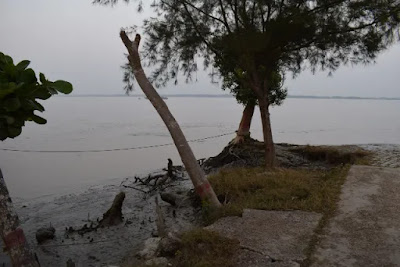 River view from Karamjol in the Sundarbans River view from Karamjol in the Sundarbans