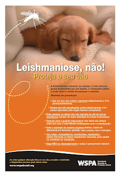 PREVENÇÃO LEISHMANIOSE- WSPA