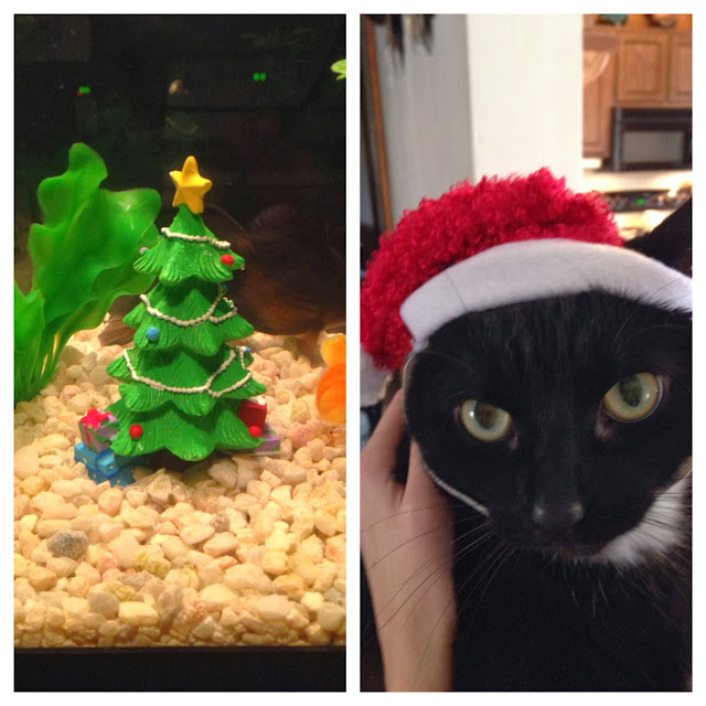 Earliest blow job on video