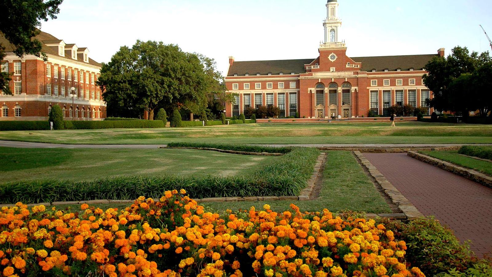 Oklahoma State University Degree Programs University Choices