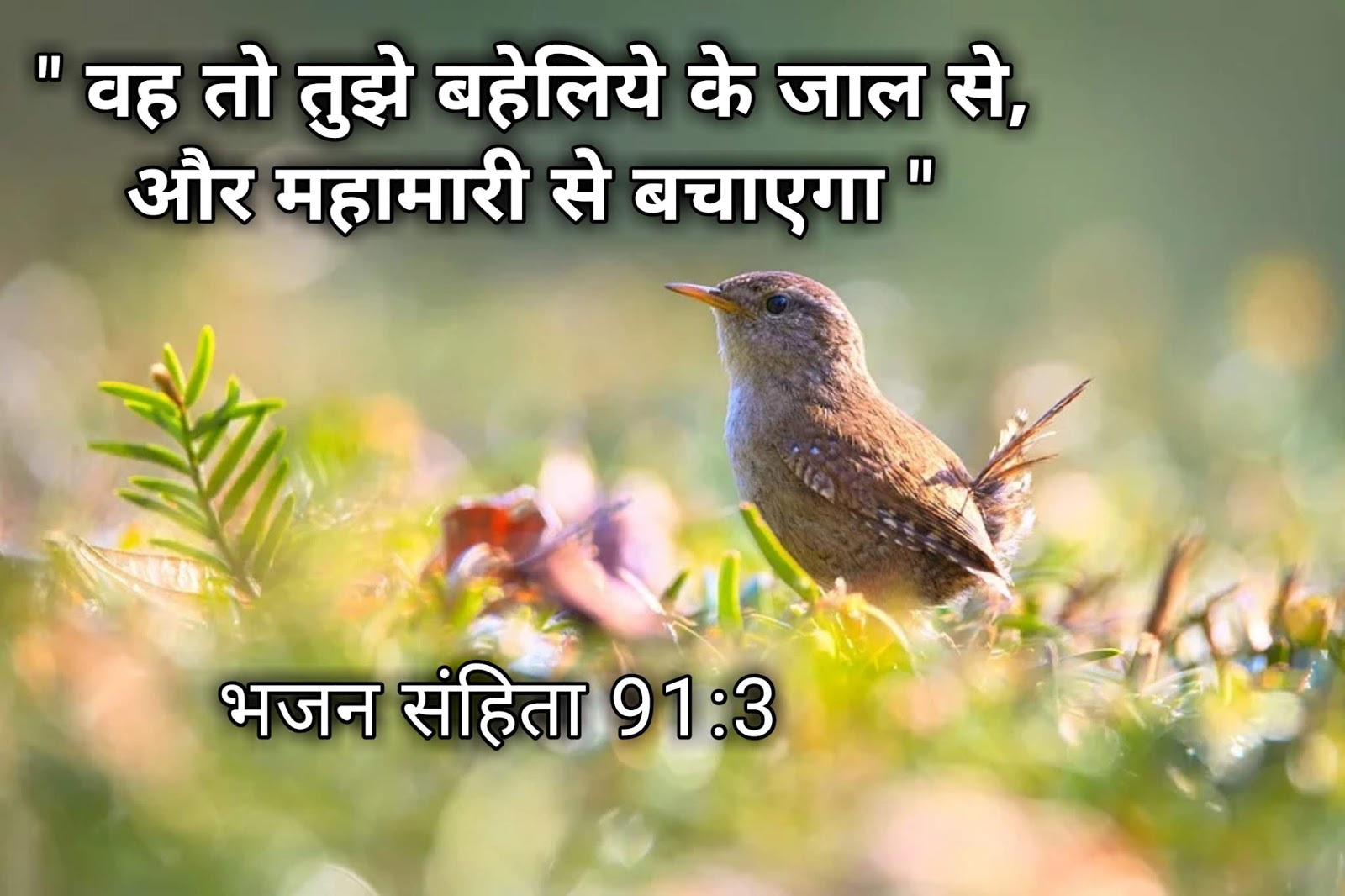 हिन्दी बाइबल वर्सेज Bible Quotes and Hindi Bible ...