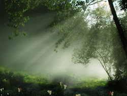 nature amazing most beauty natural quotes stunning hope awesome pretty tree quote pure trees