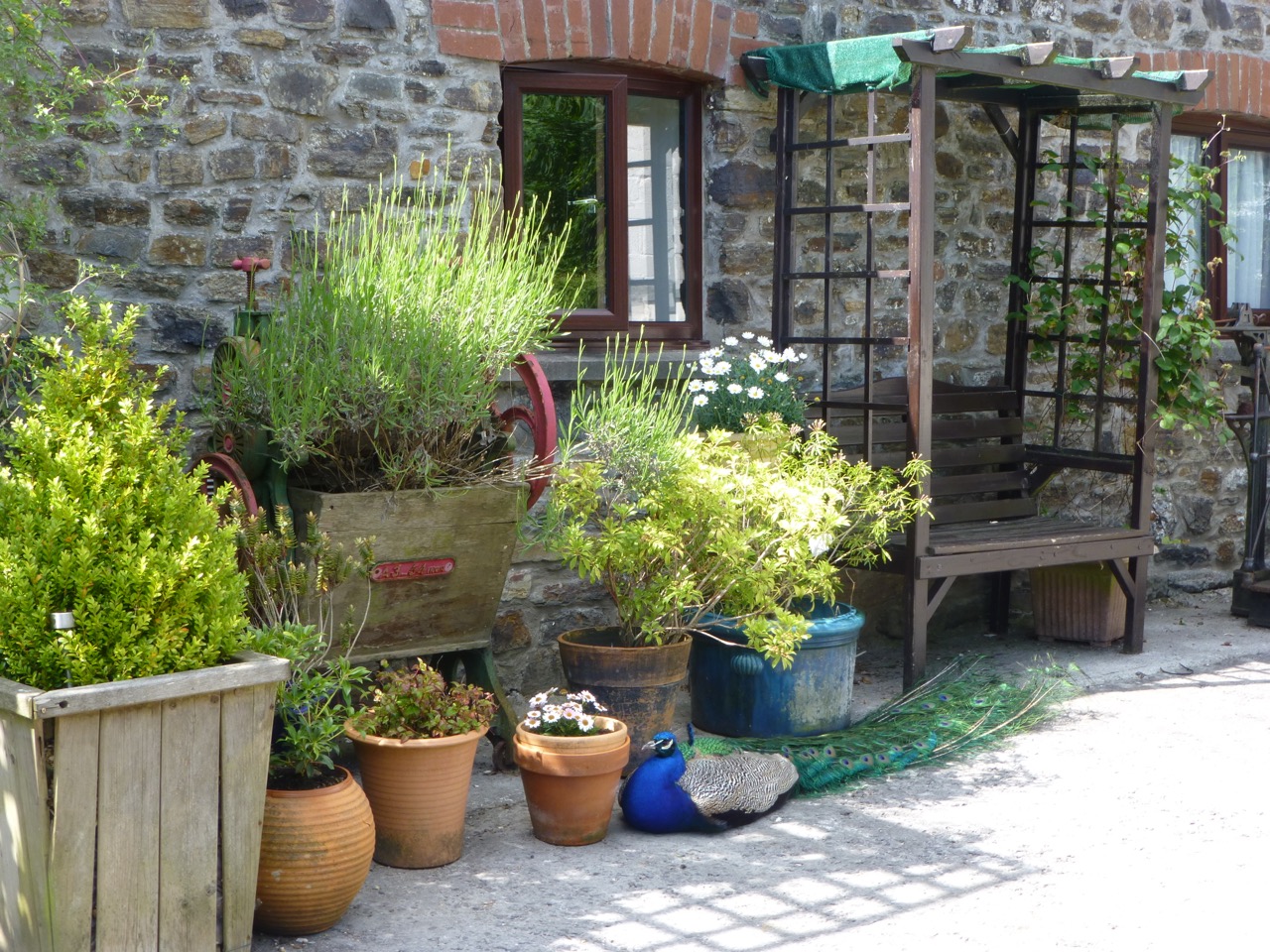 The Holiday Cottages Molly's Cottage, Llangynin, St Clears