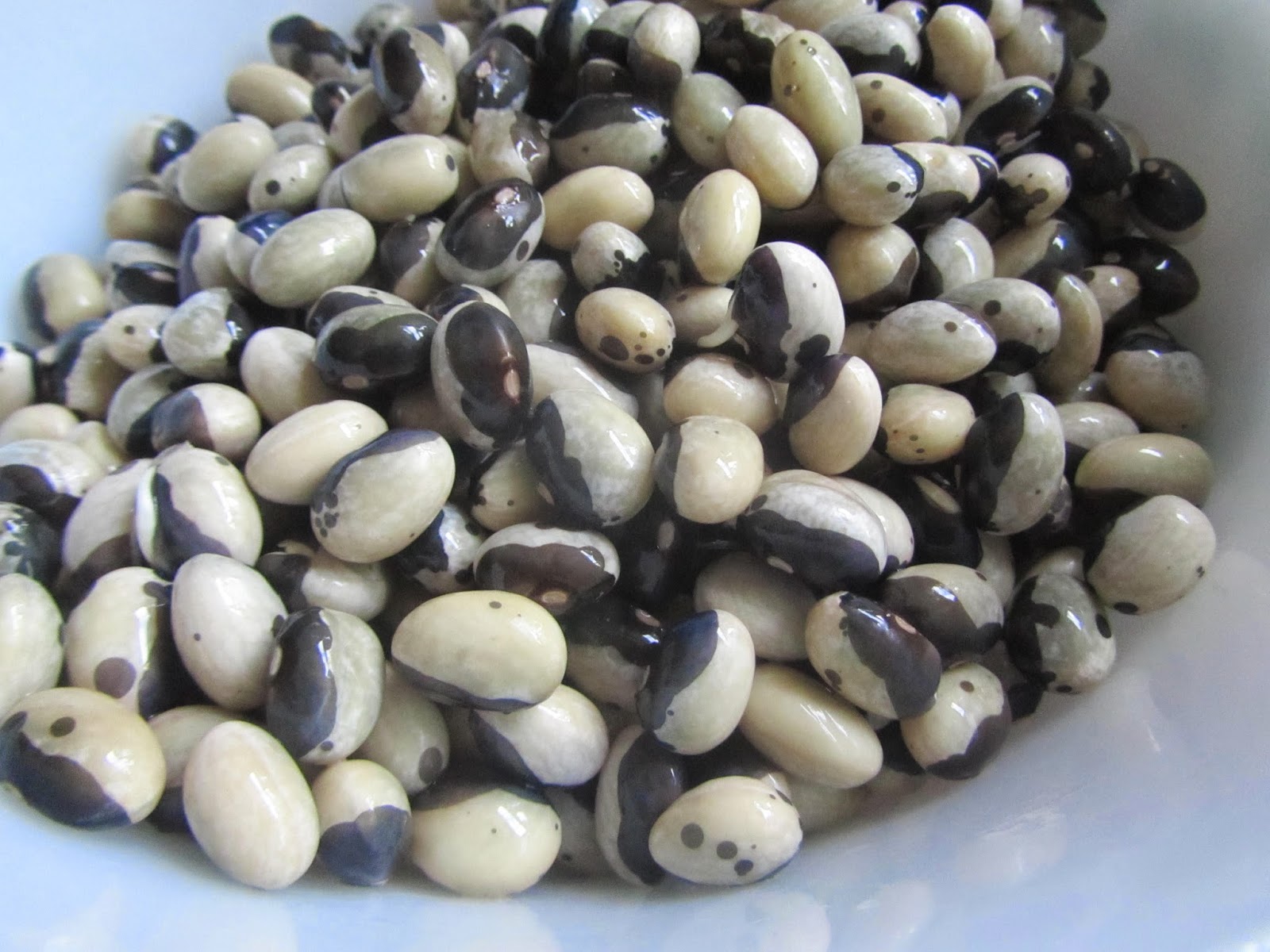 Jen & the Bean stalk Soaking Beans