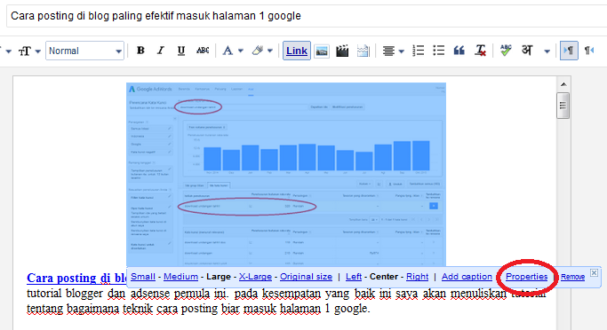 Jalan Menuju Kebebasan Finansial: Panduan Lengkap Mendapatkan Persetujuan Google Adsense untuk Blogger