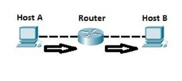 Host b. Шлюз сети и хост. Show hosts маршрутизатор. Host in Network. Бренд IP.