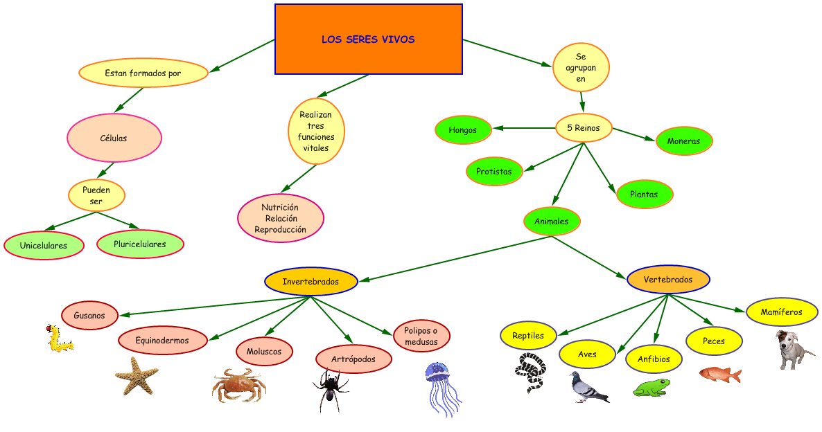 Mapa Conceptual De Los Seres Vivos begonasanchezreig.blogspot.com