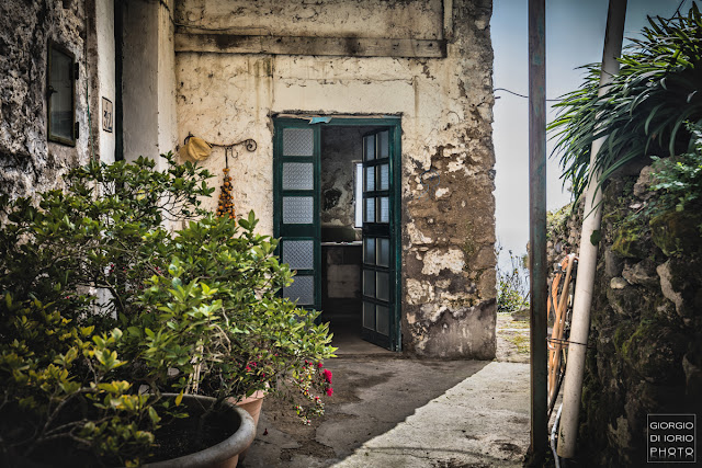 Campagnano Ischia, Grotta Ischia, Isola d' Ischia, Mare Ischia, Monte Vezzi Ischia, Paesaggi Ischitani, Piano Liguori, San Pancrazio Ischia, trekking Ischia, Ulivi Ischia, 