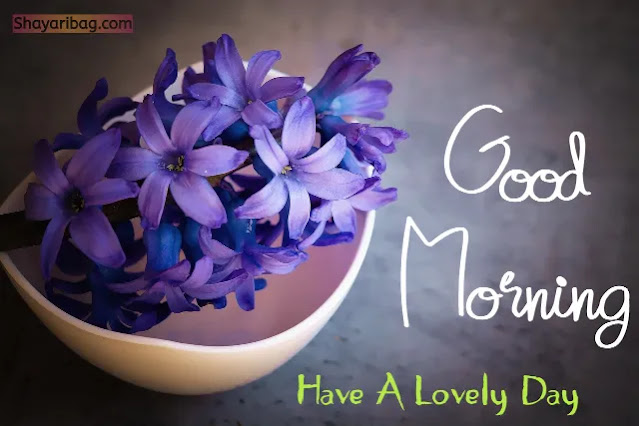 Good Morning With Flowers Images Good Morning With Flowers Images