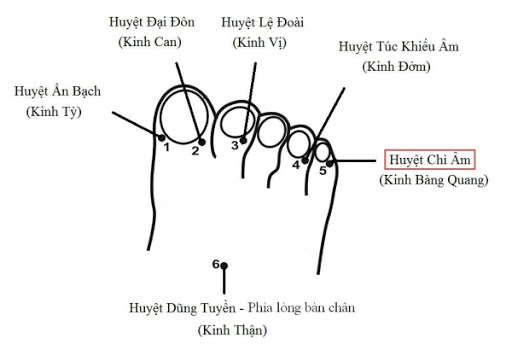 huyệt túc khiếu âm