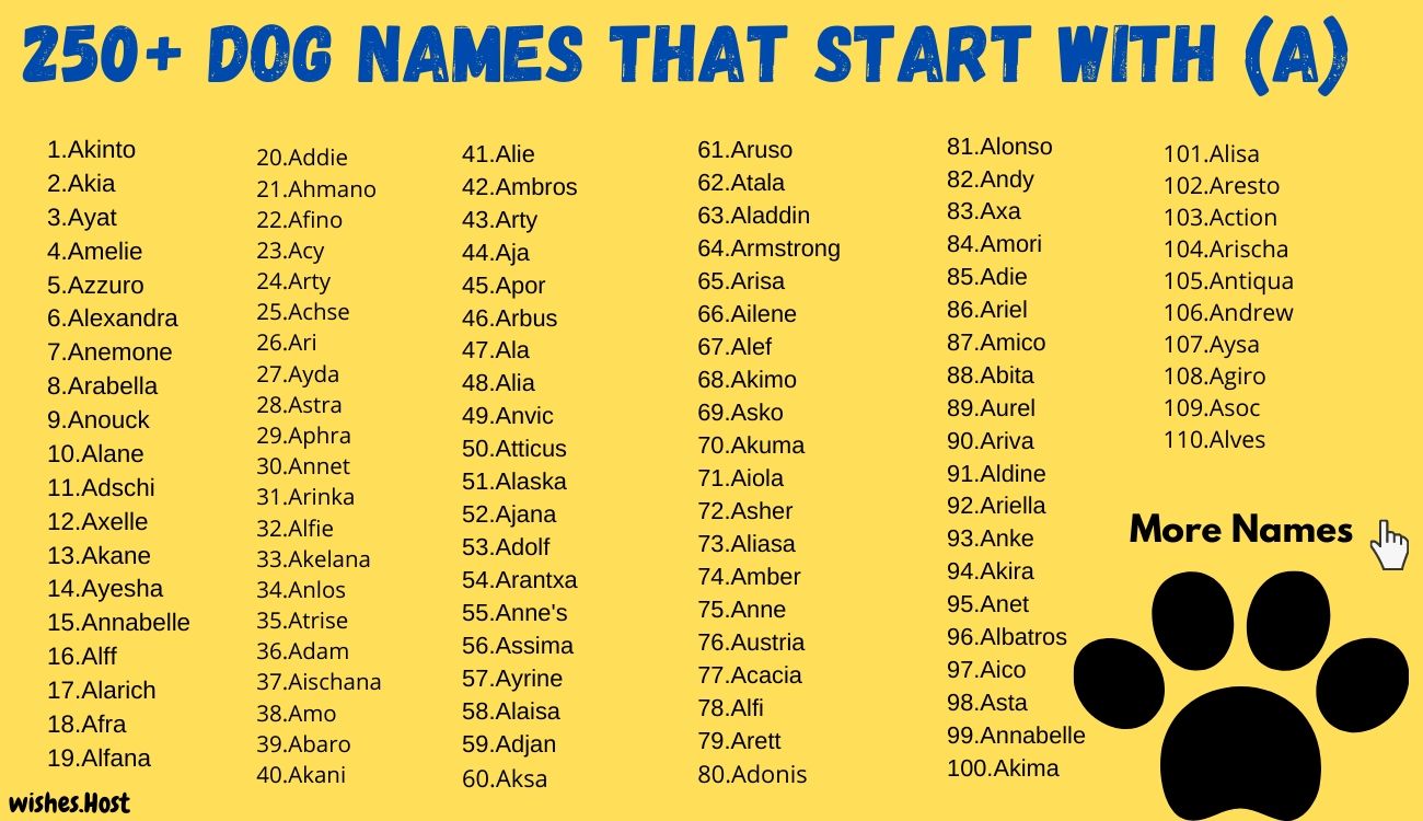 Dog Names That Start with A for Girl and Boy Dog Your Hop