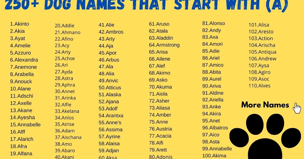 unique girl dog names unique girl dog names