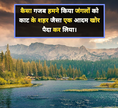 Best Nature Shayari In Hindi