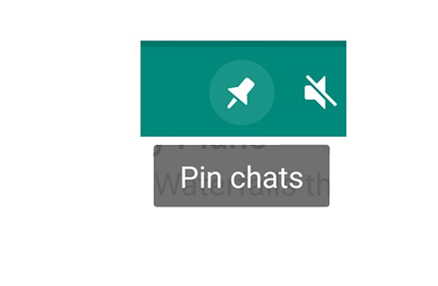 How to pin chat in whatsapp android app | Pinned chat feature mobile phone android app