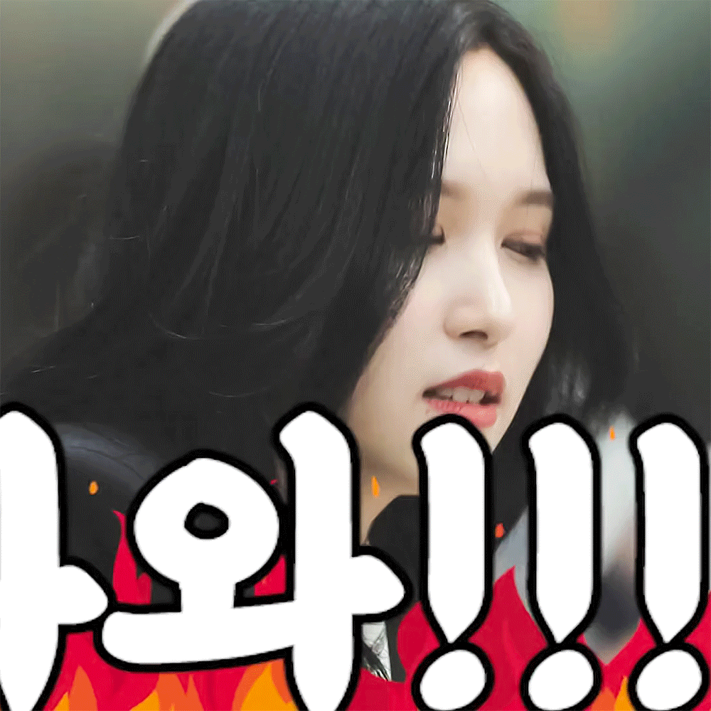 분노한 묘실장님 트와이스 미나