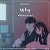 เนื้อเพลง+ซับไทย Why (Webtoon Yeonnom OST Part 2) - Baek A Yeon (백아연) Hangul lyrics+Thai sub
