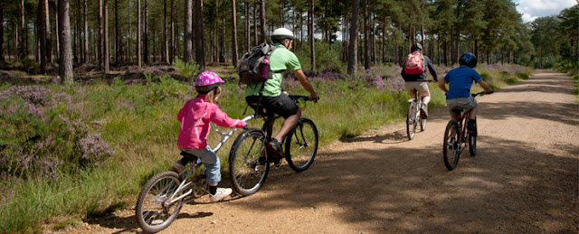 A Family Beginners Guide to Mountain Biking with Halfords