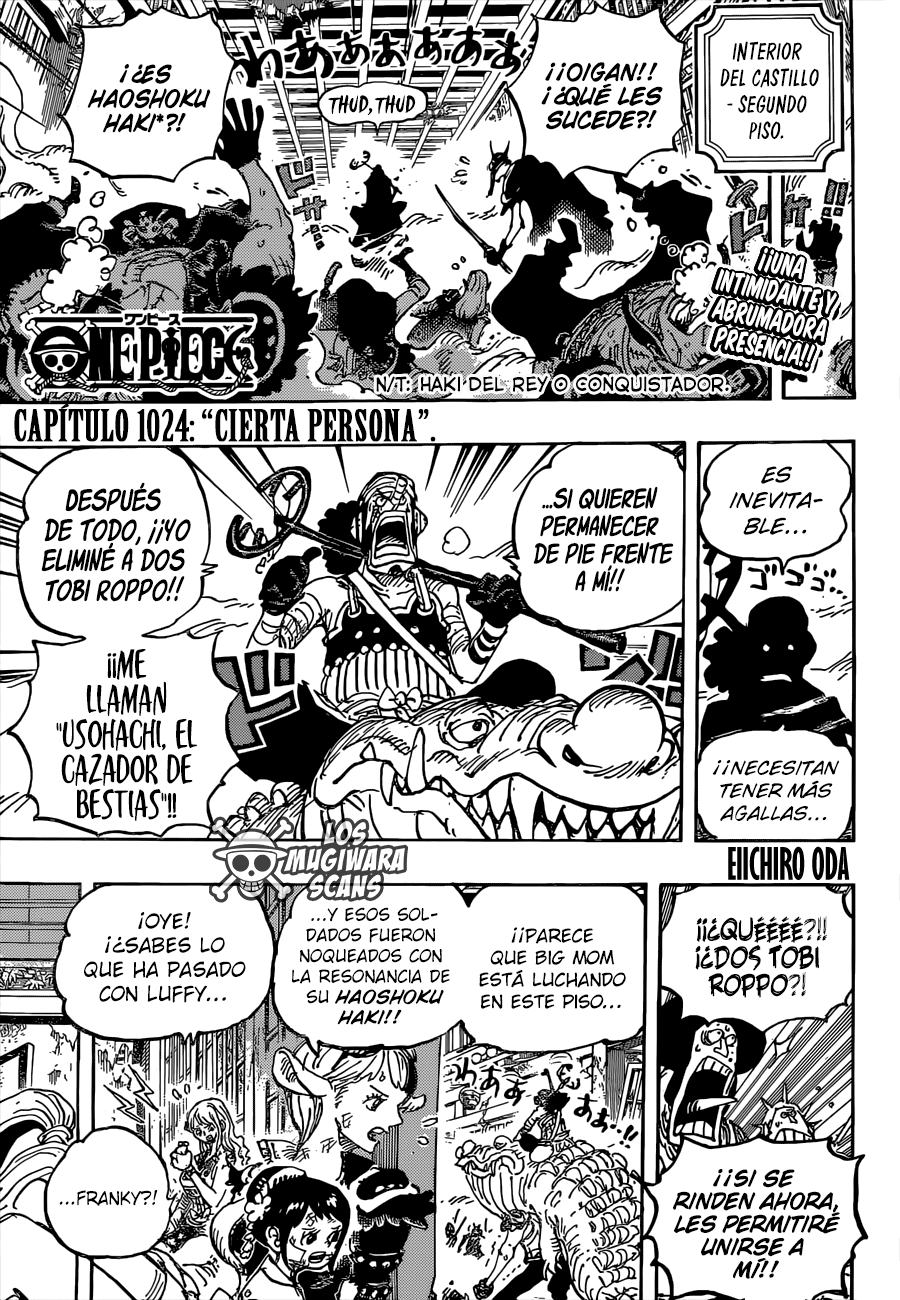 vitalidad política Edredón One Piece Manga 1024 Español AnimeAllStar / Manga Online