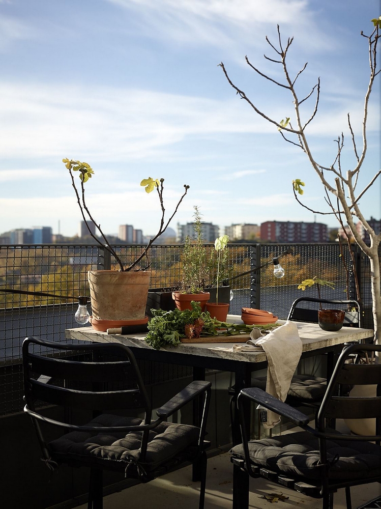 FRAICHEUR NATURE DANS DU MODERNE