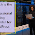 Which is the best professional hosting provider for WordPress & Bluehost Review