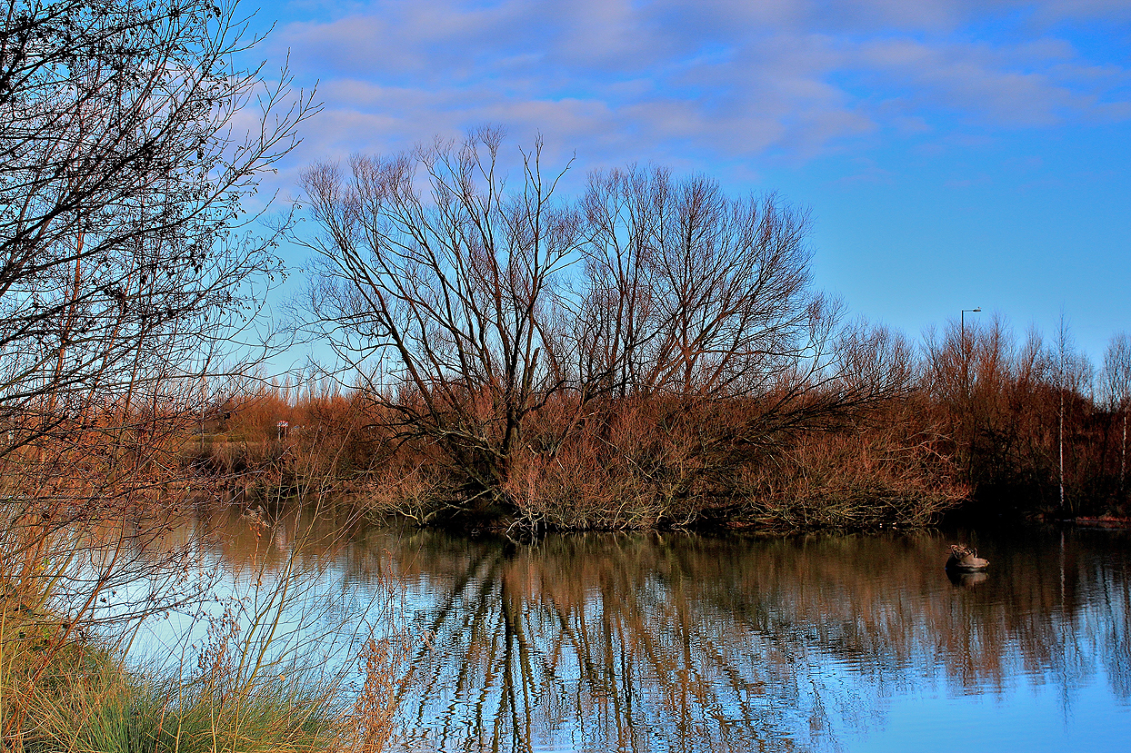 Tom Curtis Photos Ferrymoor Flash