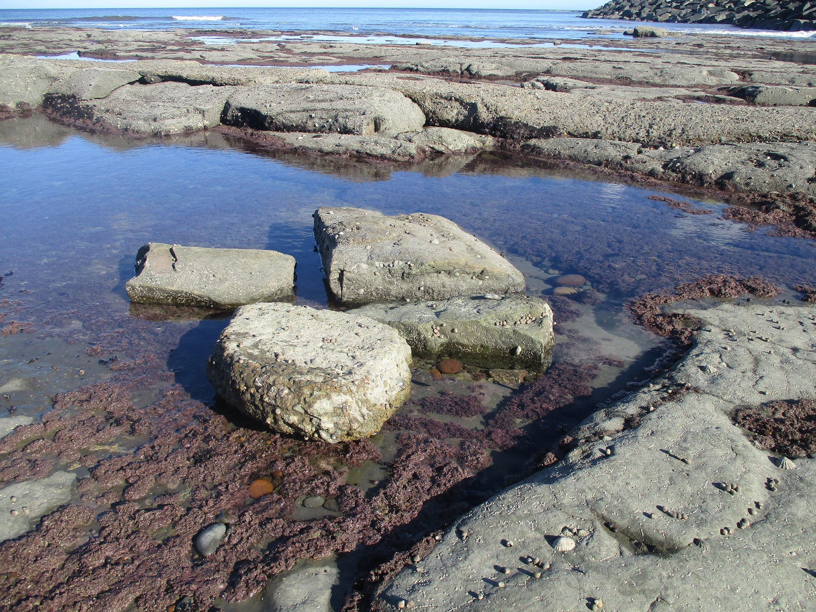 Eight Miles Higher: Poem: 'AFTERMATH/ UNIVERSE OF BABEL'