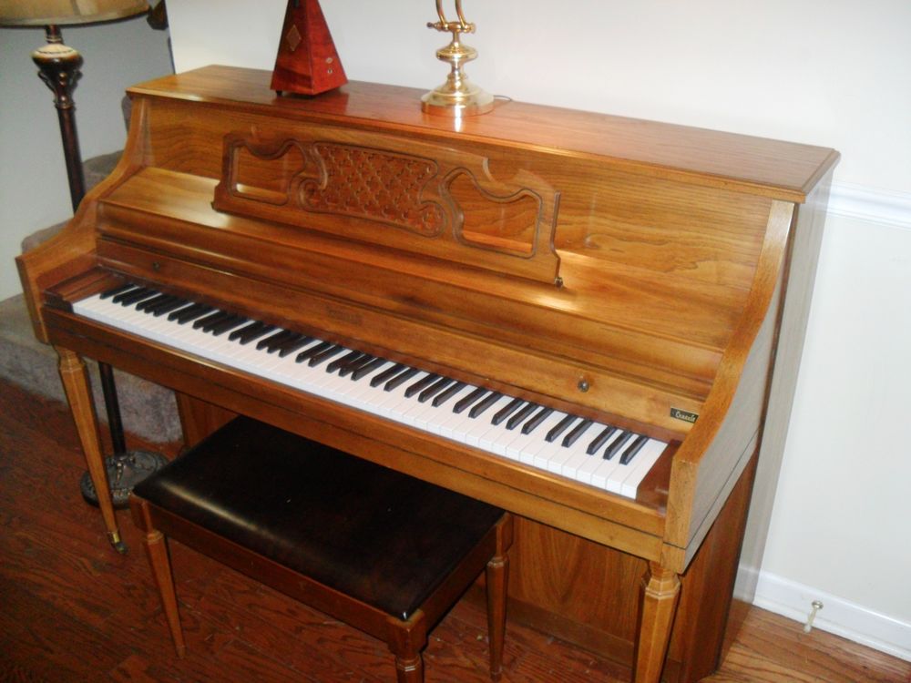 The killers mr brightside. Mr bean animated show piano keys. Mouze no mo-052. мистер забывай. Brightside ноты.