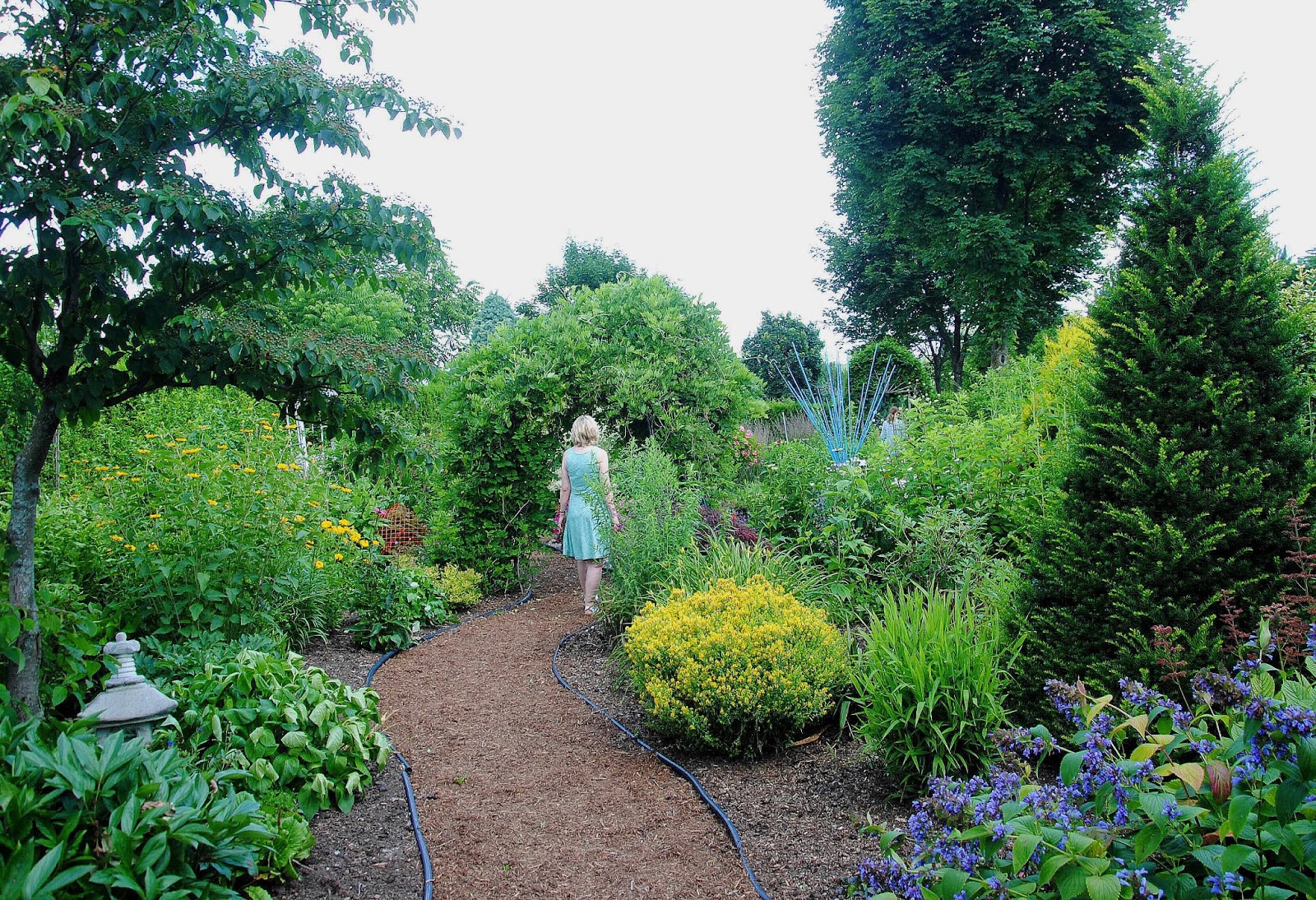 Camera on King & Aurora 2013 NobletonKing City Garden Tour