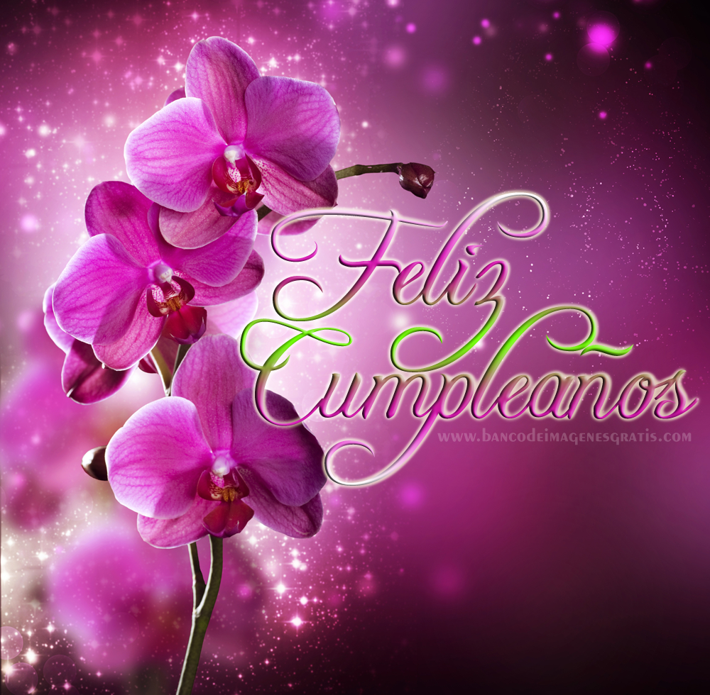 Unique Wallpaper Feliz Cumpleaños Con Rosas Y Orquídeas Postales Con